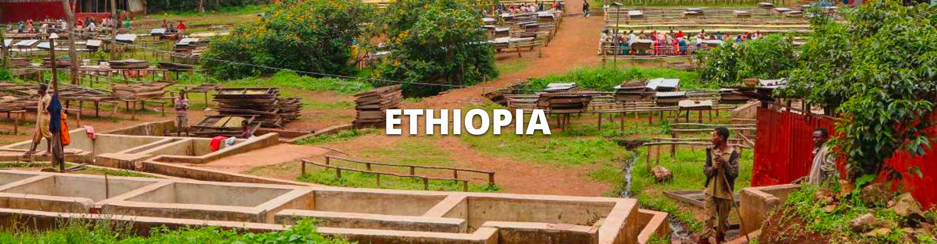 ethiopia-sm-header